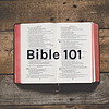 Bible 101 - Through the Bible
