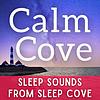 Sleep Sounds - White Noise & Sleep Music from Sleep Cove