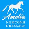 Dressage with Amelia