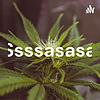 Ssssasasa
