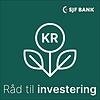 Råd til investering copertă