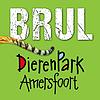 BRUL | Dé dierenpodcast voor kinderen