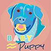 Baby ≈ Puppy