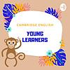 Cambridge YLE Tips