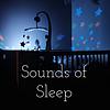 Sounds of Sleep