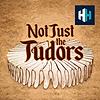 Not Just the Tudors cover