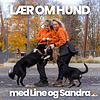 LÆR OM HUND omslag