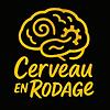 Cerveau en rodage