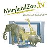 MarylandZoo.TV Cover