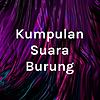 Kumpulan Suara Burung Mp3
