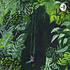 Jungla murmurante portada