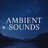 Ambient Sounds copertă