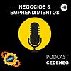 NEGOCIOS & EMPRENDIMIENTOS portada