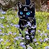 ✨🐈‍⬛Therian Podcast mit Calypos🐈‍⬛✨ portada
