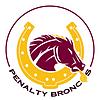 Penalty Broncos portada