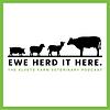 Ewe Herd It Here