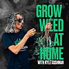 Grow Weed at Home with Kyle Kushman