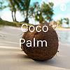Coco Palm copertă