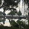 随心乐谱曲 封面