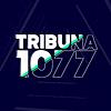 Tribuna 1077