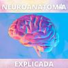Neuroanatomia Explicada