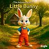 The adventures of Little bunny cover
