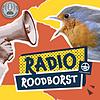 Radio Roodborst