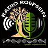 Radio Roepsein
