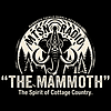 MTSN — The Mammoth