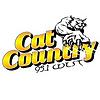 WLST Cat Country 95.1 FM