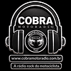 Cobra Moto Radio