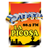 Galaxia La Picosa