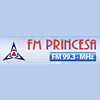 Rádio FM Princesa 99.3