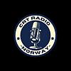 CRT Radio