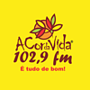 A Cor da Vida 102.9 FM