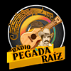 Rádio Pegada Raiz