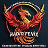 Radio Fenix