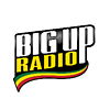 BigUpRadio - Dub Massive Reggae