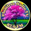 Plumtree Radio