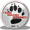 Tele Radio Stereo