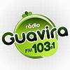 Guavira 103.1 FM