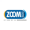 Zoom Radio