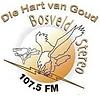 Bosveld Stereo