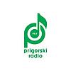 Prigorski Radio