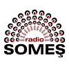 Radio Somes