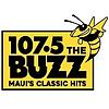 KHEI Buzz 107.5 FM