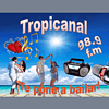 Tropicanal Tropical