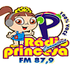 Radio Princesa do Brejo FM