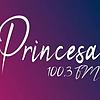 Rádio Princesa FM 100.3