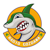 Radio Gozdawa